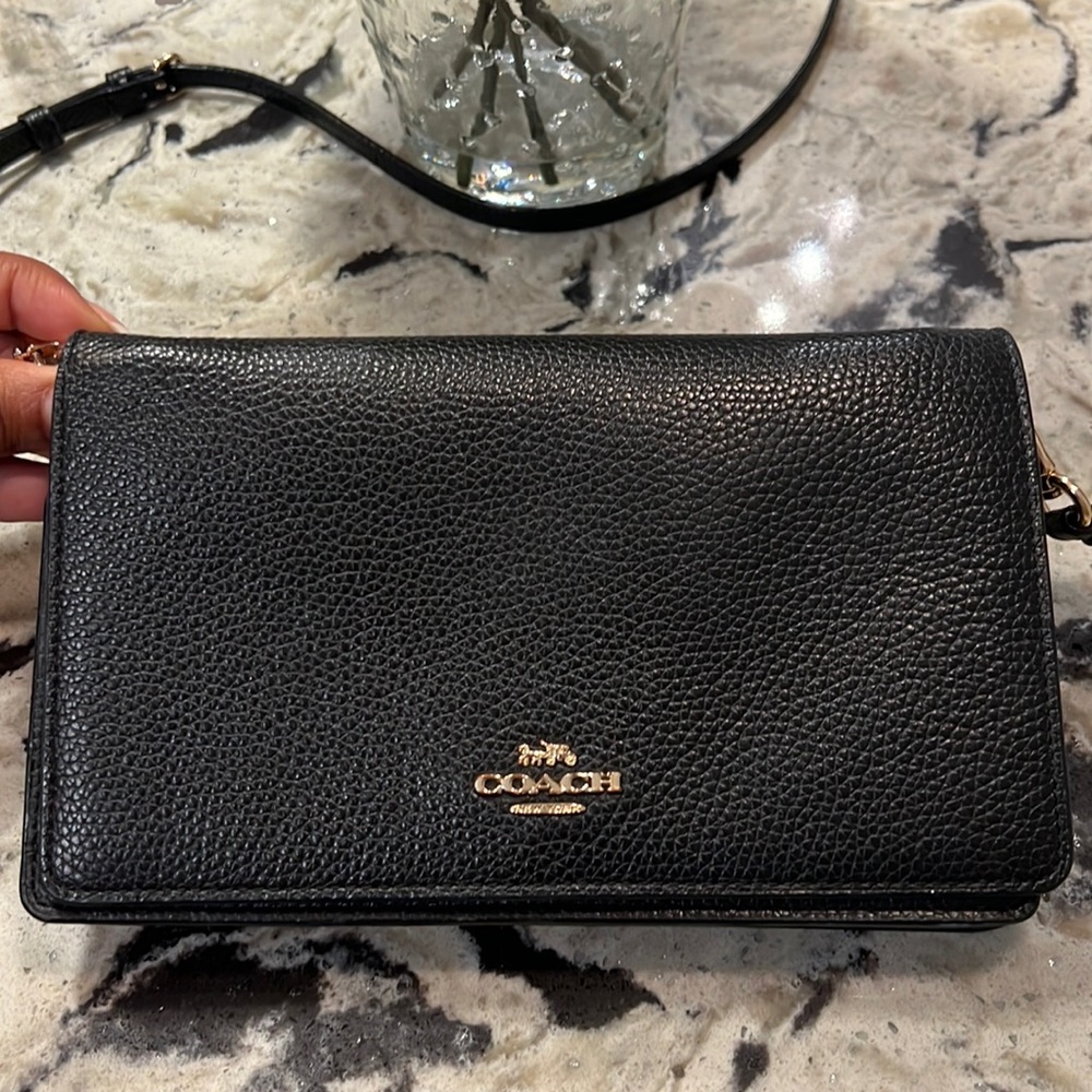 Coach Anna Crossbody Clutch